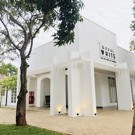 Royal White Tourist Rest Hotel Anuradhapura Exterior foto