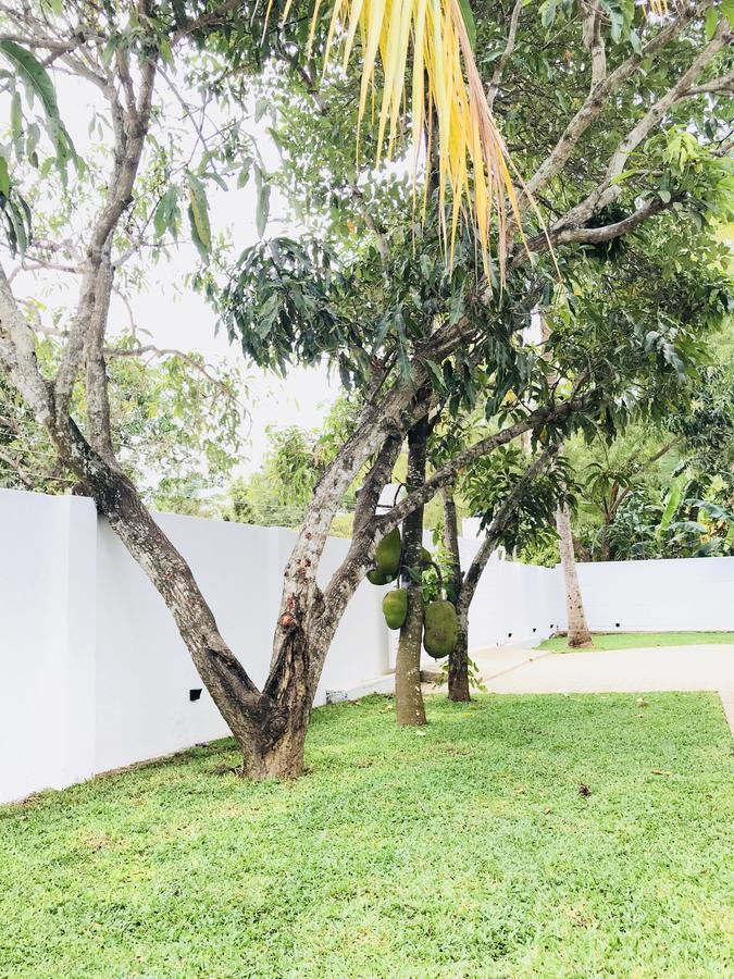 Royal White Tourist Rest Hotel Anuradhapura Exterior foto