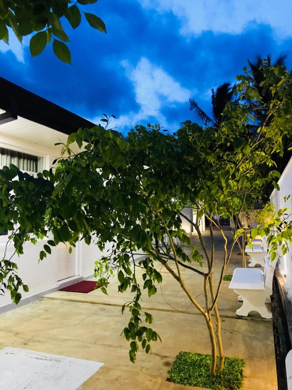 Royal White Tourist Rest Hotel Anuradhapura Exterior foto